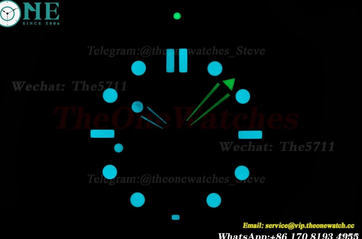 8800 Asia 300m SS 2018 Seamaster ORF Black SS 0113